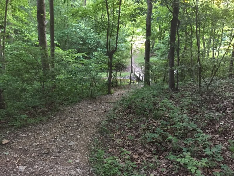 Descent to southern bridge.