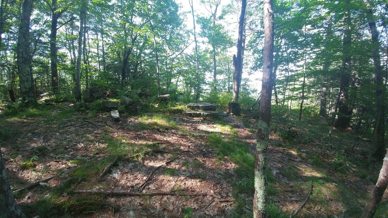 Top of West Hill along the Red Diamond Trail