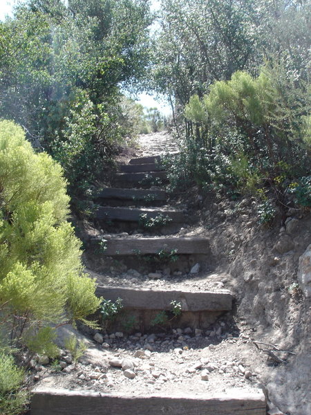 Heading up the Backbone Trail toward Sandstone Peak.