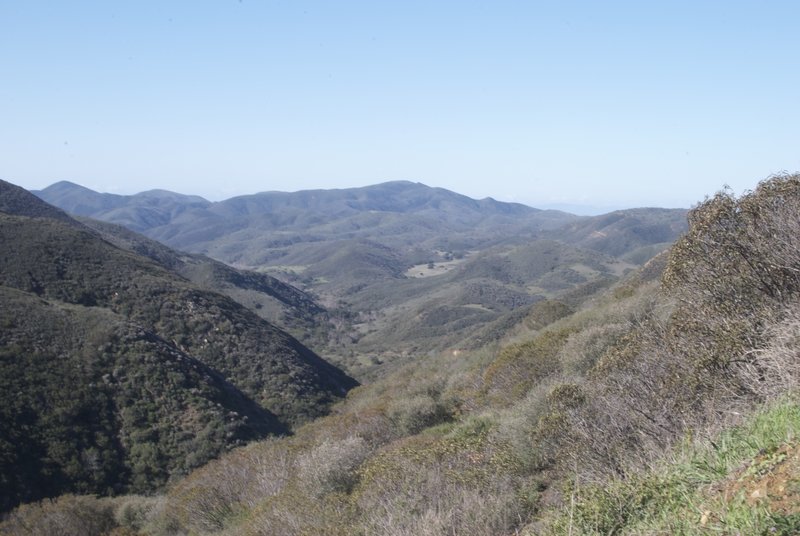 Peering through the canyon from the junction of Danielson Road (Old Boney Trail) and Hidden Valley Overlook Trail.