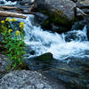 A few sections of waterfall make great places to take a break from the climbing and enjoy the views.