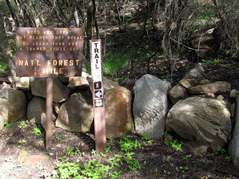 A clever leashed-pet sign along Pratt Trail.