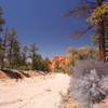 Near the Bryce Canyon to Red Canyon Bike Path.