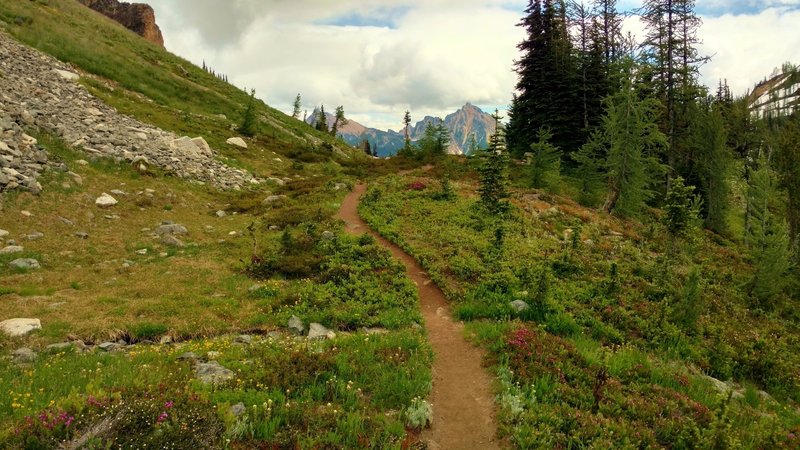 Approaching Easy Pass on the Fisher Creek Trail, the mountains on the other side start coming into view.