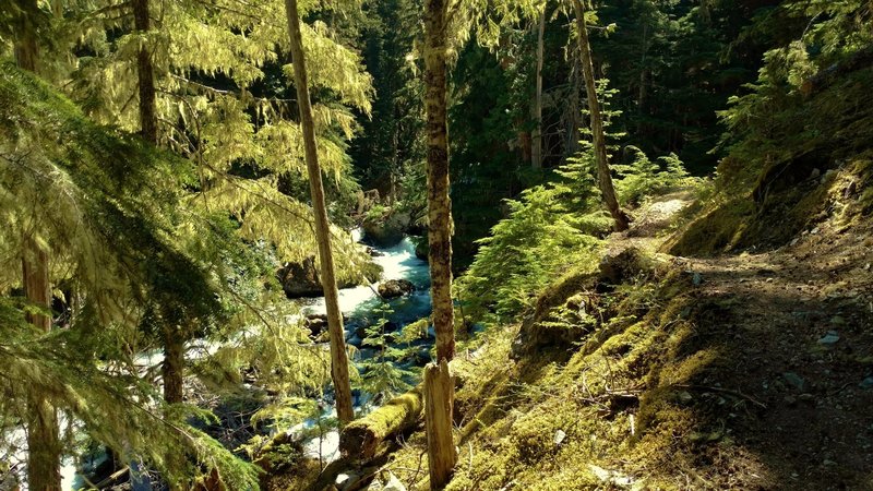 Fisher Creek Trail runs along cascading Fisher Creek