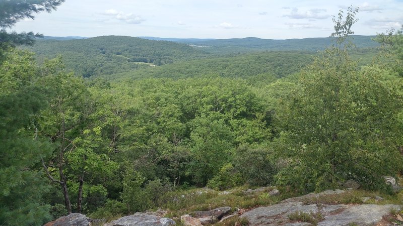 View on Anne Stokes Loop