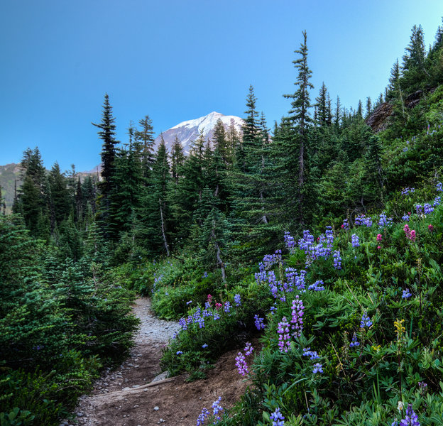 You catch a glimpse of Mt. Rainier from the Tolmie Peak Trail as it goes by Eunice Lake