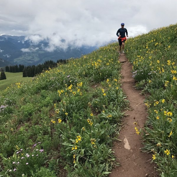 A cold day in the July wildflowers