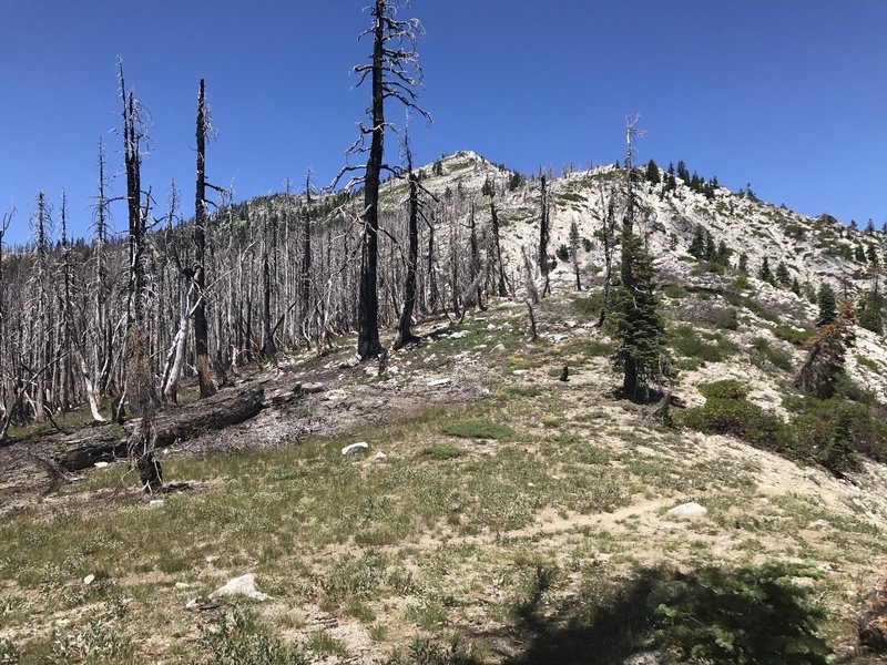 Pacific Crest Trail above Lipstick Lake in Russian Wilderness