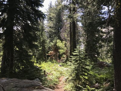 Albers Lake Trail in Russian Wilderness