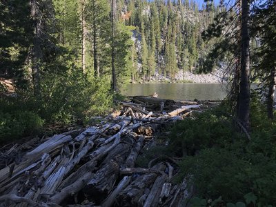 Crossing log-clogged outlet of Paynes Lake off Pacific Crest Trail in Russian Wilderness.