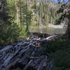 Crossing log-clogged outlet of Paynes Lake off Pacific Crest Trail in Russian Wilderness.