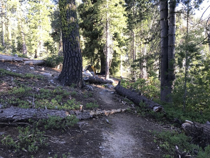 Trail to campsite near outlet on Paynes Lake in Russian Wilderness