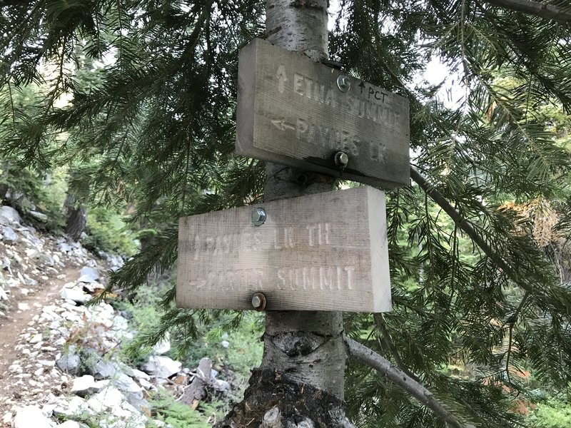 Pacific Crest Trail sign at intersection of Paynes Lake Trail in Russian Wilderness