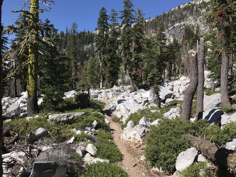 Pacific Crest Trail in Russian Wilderness