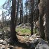 Pacific Crest Trail in Russian Wilderness