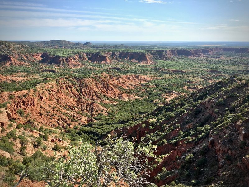 View to the northeast shortly after climbing to John Haynes Ridge