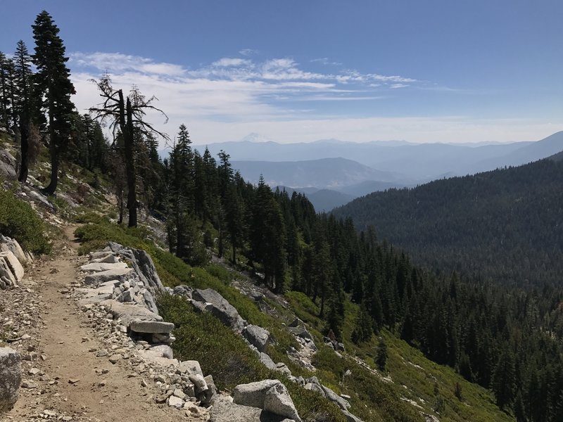 View of Mount Shasta from Pacific Crest Trail in Russian Wilderness