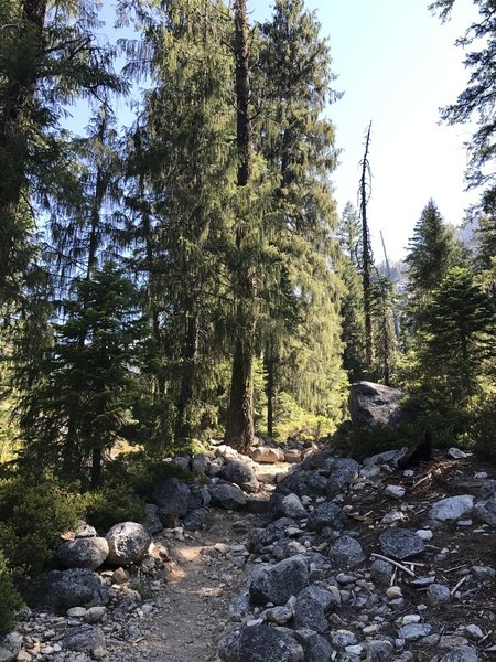 Canyon Creek Trail in Trinity Alps Wilderness