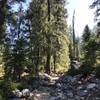 Canyon Creek Trail in Trinity Alps Wilderness