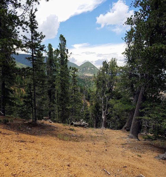 View of Mount Rosa from FSR 379.