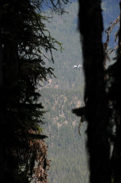 Occasionally the silence is broken by the roar of F-18s, which you'll hike/run above