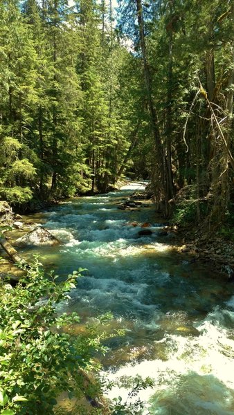 Fisher Creek at the Thunder Creek Trail crossing, just before Fisher Creek empties into Thunder Creek