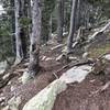 Bigger rocks on trail.