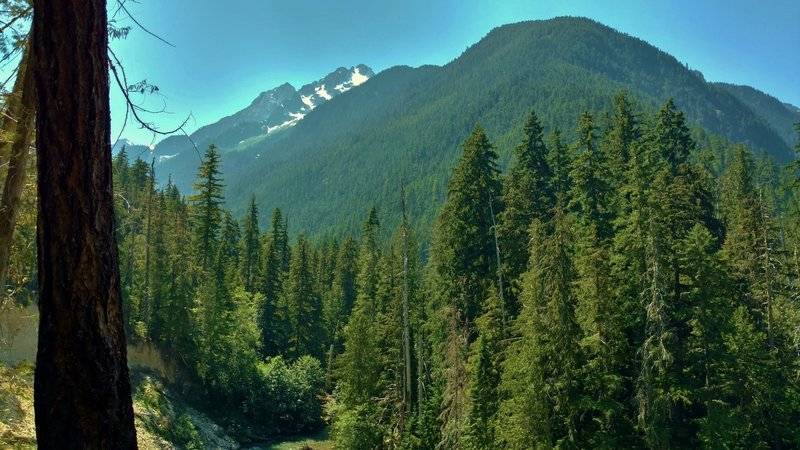 The north shoulder of Tricouni Peak looms ahead, with Thunder Creek far below, as Thunder Creek Trail nears McAllister Camp