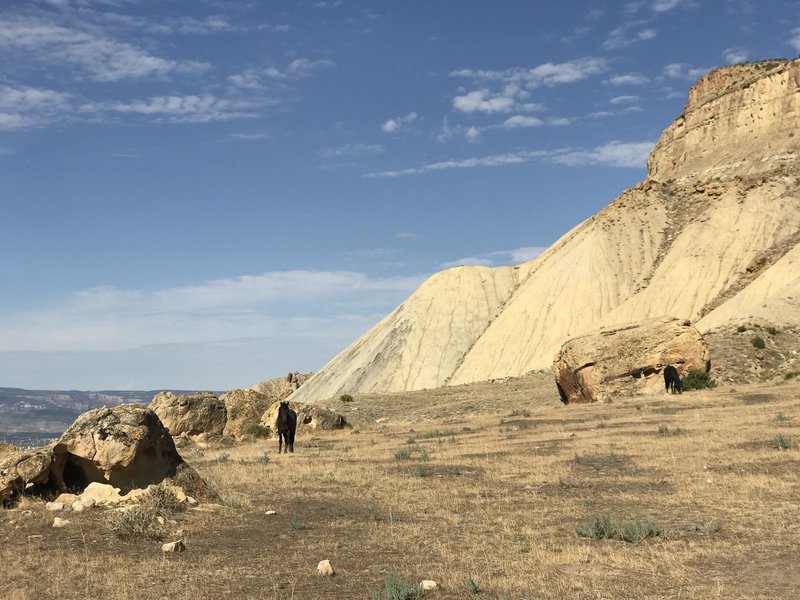 Wild horses frequent the trail.