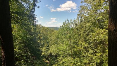 The one outlook on the Bear Mountain Trail - shady with a little wooden bench.