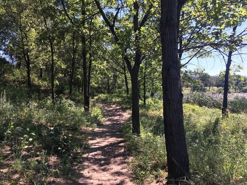 Sandy Trail heading back to the Douglas Center after enjoying some beach time.