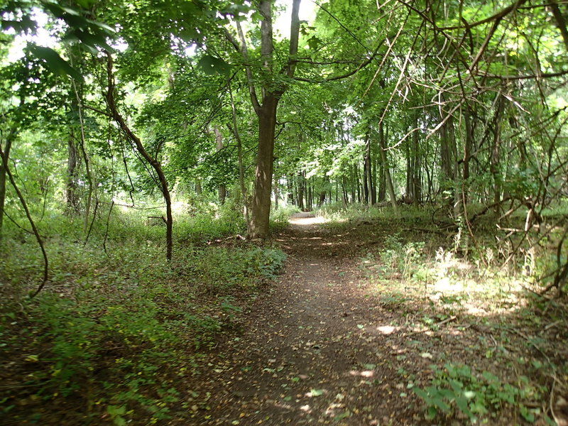 Denning Loop Trail