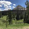 Meadow in the Uintas