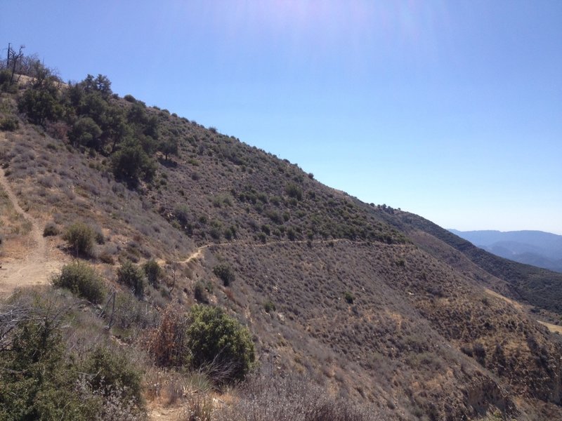 The Santa Cruz Trail at Alexander Saddle.