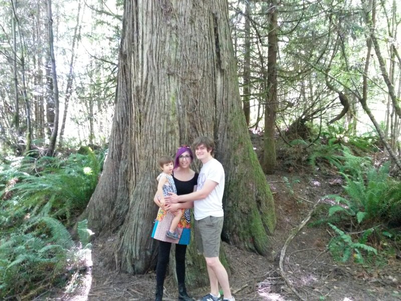 This is the largest tree around for miles.  The western red cedar has a bee hive way up high in the tree.  Definitely a photo op!