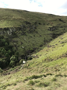 Valley Track from Marette Taylor Track. Rapaki Track is in the hillside above.