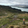 Looking towards Rapaki Saddle and Lyttelton from Summit of Mt. Vernon. Crater Rim Walkway