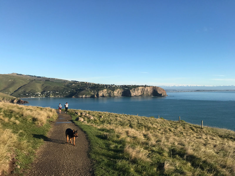 The Luxury Trail looking back towards Scarborough Terrace, Christchurch and the Snowy Southern Alps