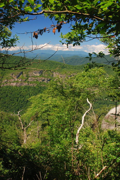 Enjoy views of Linville Gorge and the North Carolina High Country on the trail leading to the peak.