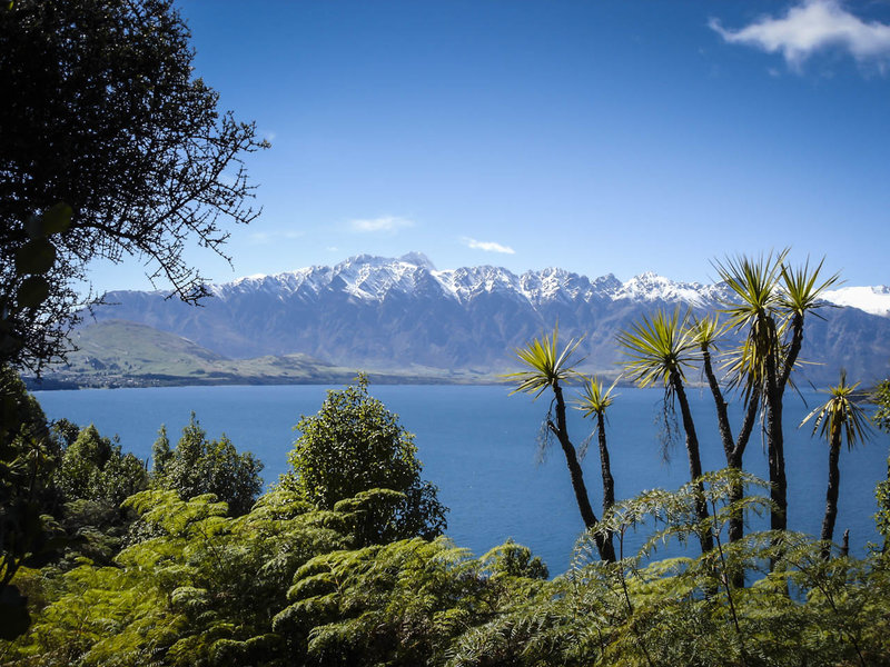 Arawata Track features tropical plants and the snow capped Remarkables mountains behind the crystal blue Lake Wakatipu