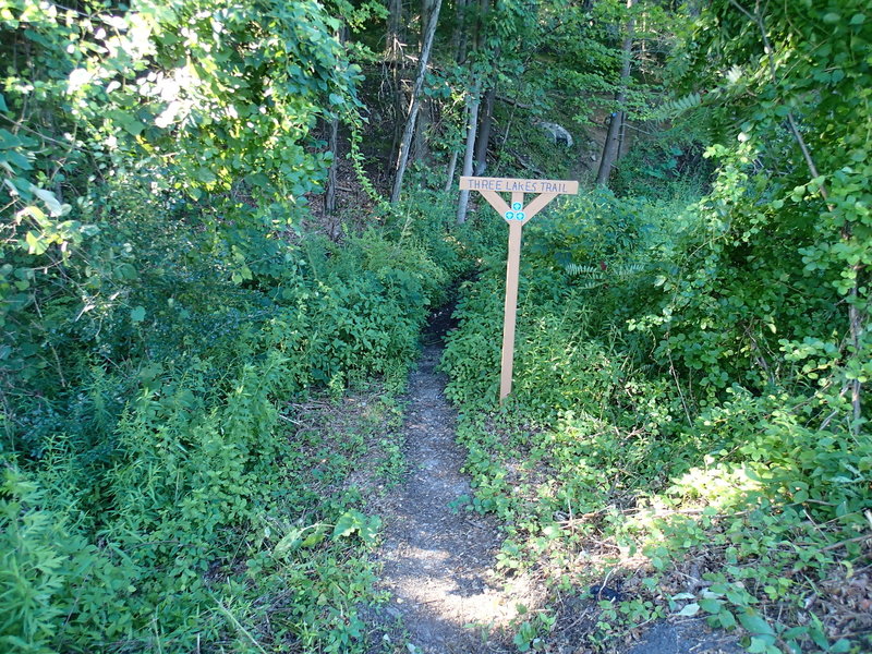 North Trailhead