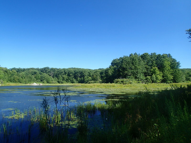 Three Lakes Trail