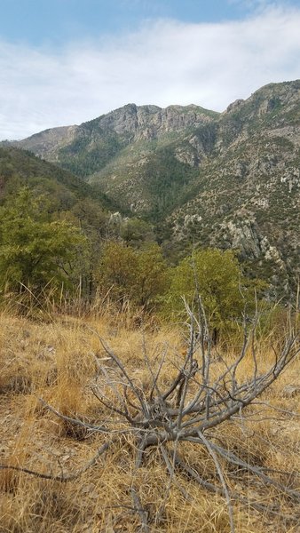 McCleary Peak