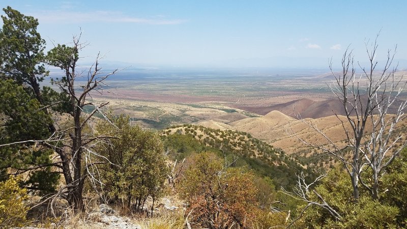 View west overlooking the Santa Rita Experimental Range and wildfire damage from the 2017 Sawmill Fire (the area the appears reddish in the middle of the photo)