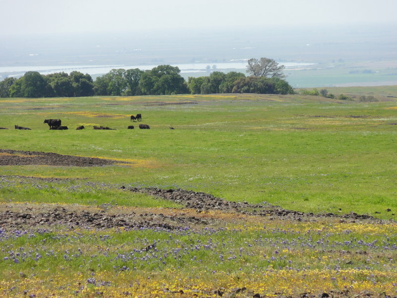 View looking back towards Lake Oroville