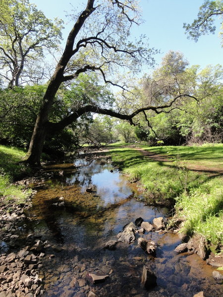 Creek running along an edge of Table Mountain