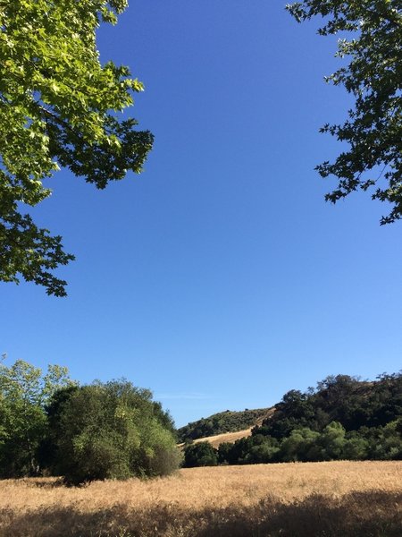 Heading up Wood Canyon Trail