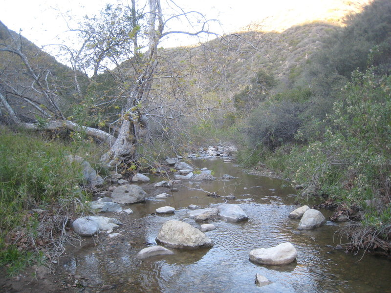 Stream in Zuma Canyon.