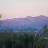 A Saddleback Dusk